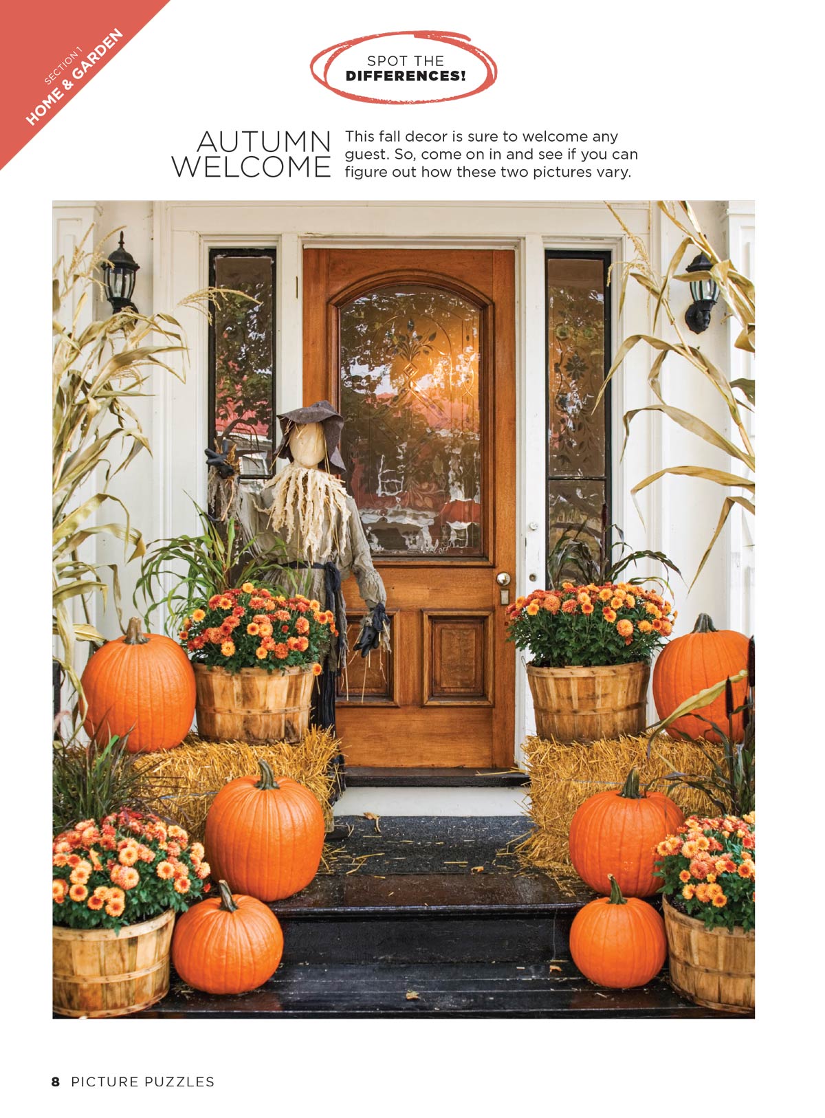 Brain Fun - Picture Puzzles: Spot 266 Differences, 5 Themed Sections, Home & Garden, Fall Fun, Harvest Holidays, Autumn Animals, Sweater Weather, Strengthen Memory, Improve Focus, Relax & More!