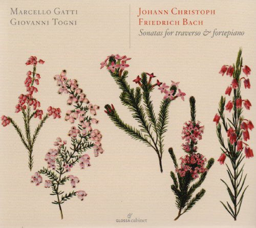 Bach,j.s. - Sonatas For Traverso & Fortepiano - Music CD