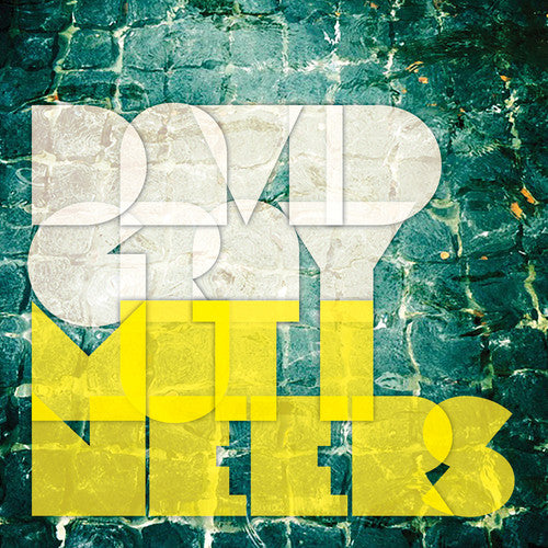 the album cover for David Gray - Mutineers