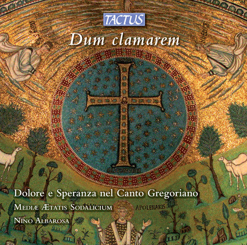 Sorrow & Hope In Gregorian Chant / Various - Sorrow & Hope In Gregorian Chant / Various - Music CD