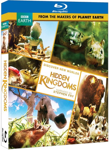 Hidden Kingdom - Hidden Kingdom - Blu-ray