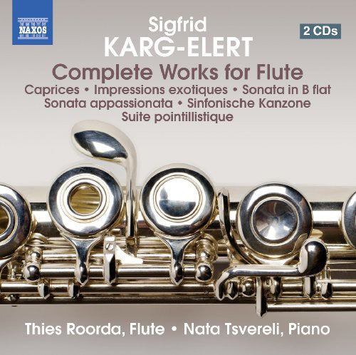 the album cover for Thies Roorda - Comp Works for Flute