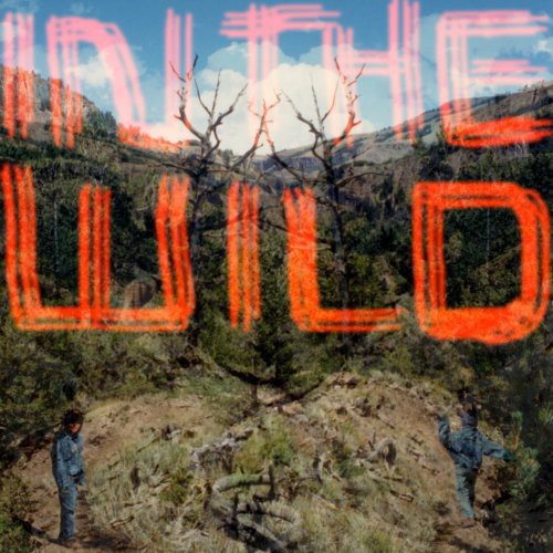 Falty Dl - In The Wild - Vinyl Record