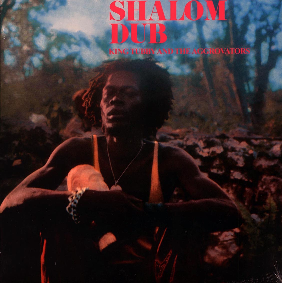 King Tubby - Shalom Dub Vinyl Record