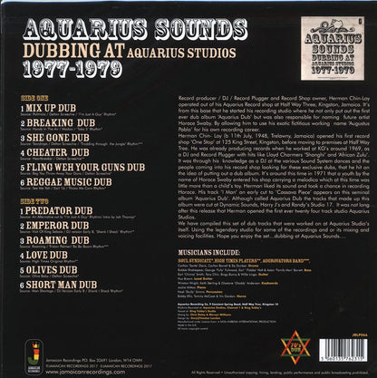 Aquarius Sounds - Dubbing At Aquarius Studios 1977-1979 (180g) Vinyl Record