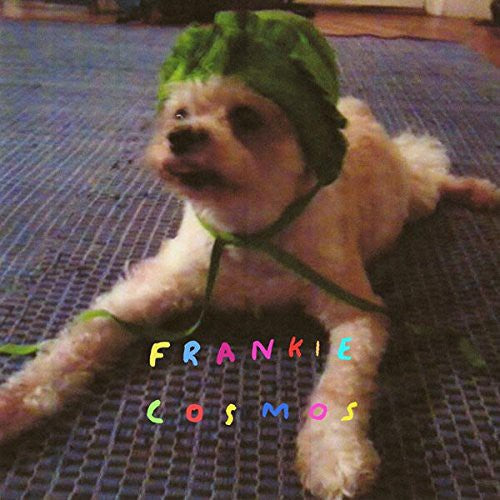 Frankie Cosmos - Zentropy - Vinyl Record