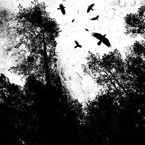 the album cover for Autumns Dawn - Gone