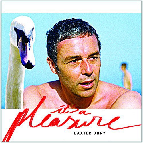 Dury,baxter - It's A Pleasure - Vinyl Record
