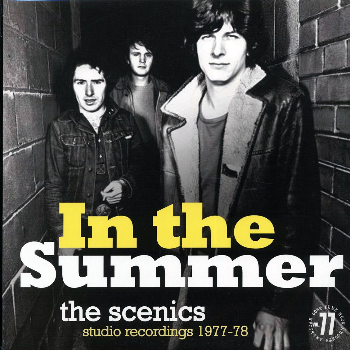 The Scenics - In The Summer: Studio Recordings 1977-78 Vinyl Record