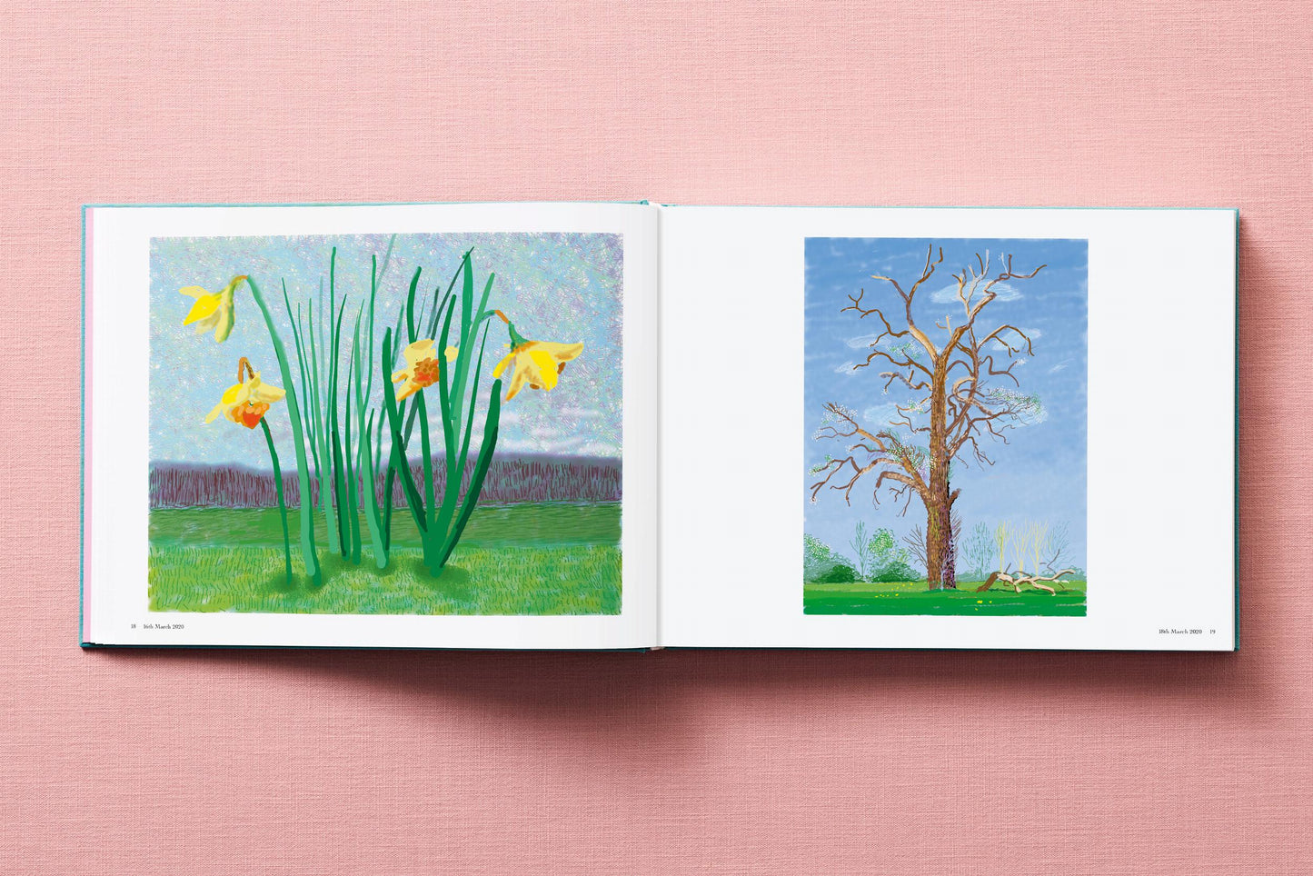 David Hockney. 220 for 2020 (English) Book