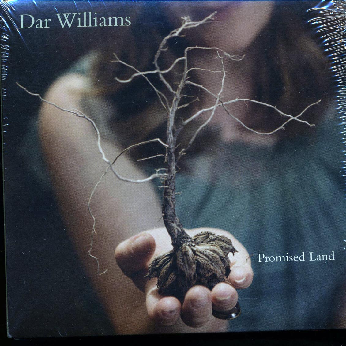 Dar Williams - Promised Land (deluxe mini-LP slipsleeve edition) Music CD