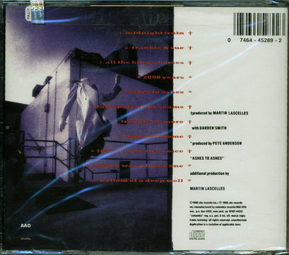 Darden Smith - Trouble No More Music CD