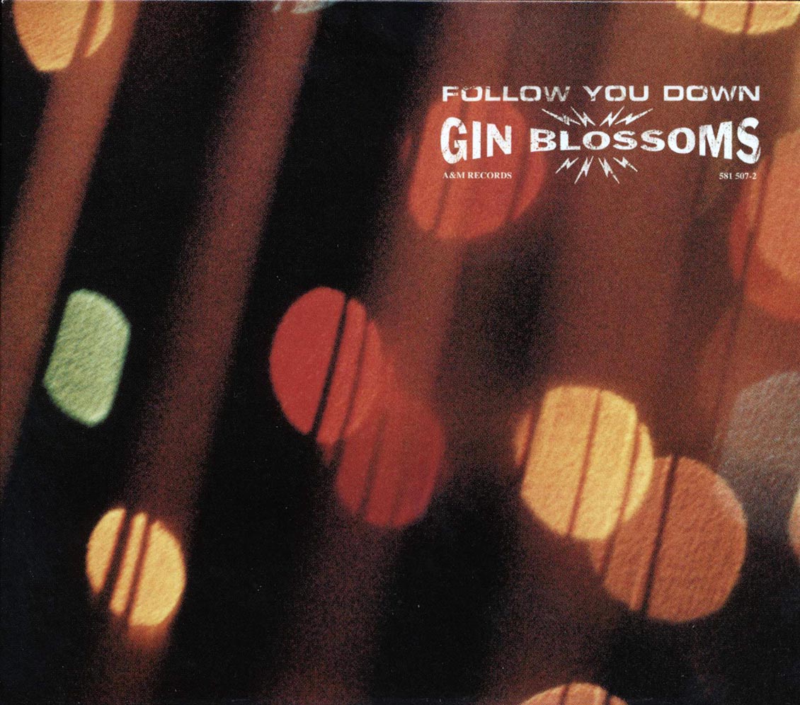 Gin Blossoms - Follow You Down Music CD