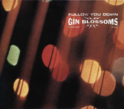 Gin Blossoms - Follow You Down Music CD