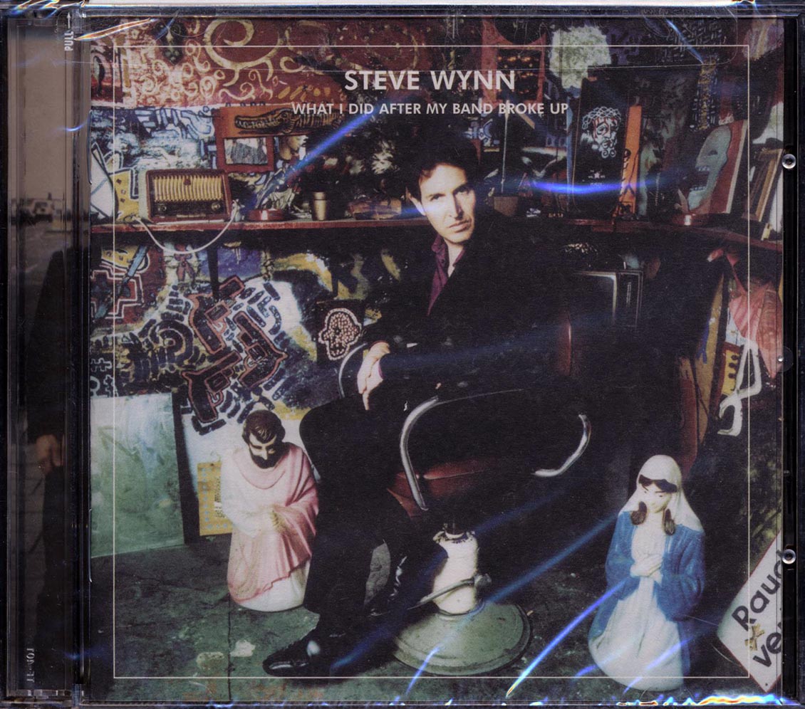 Steve Wynn What I Did After My Band Broke Up Best Of 1990 2004 Visitation Rights Music CD
