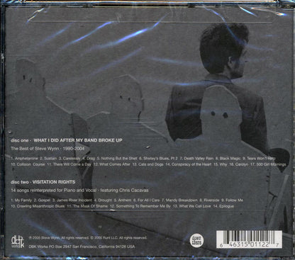 Steve Wynn What I Did After My Band Broke Up Best Of 1990 2004 Visitation Rights Music CD