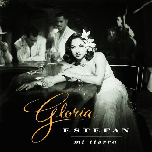 Gloria Estefan - Mi Tierra Vinyl Record