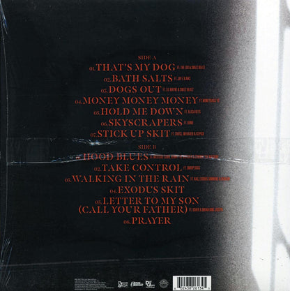 DMX - Exodus Vinyl Record