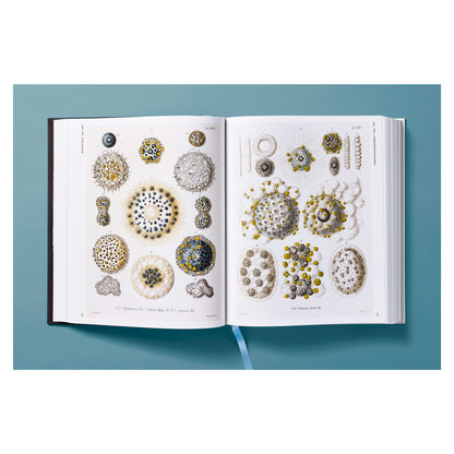 The Art and Science of Ernst Haeckel (German, French, English) Book