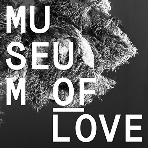 Museum of Love - Museum of Love Vinyl Record