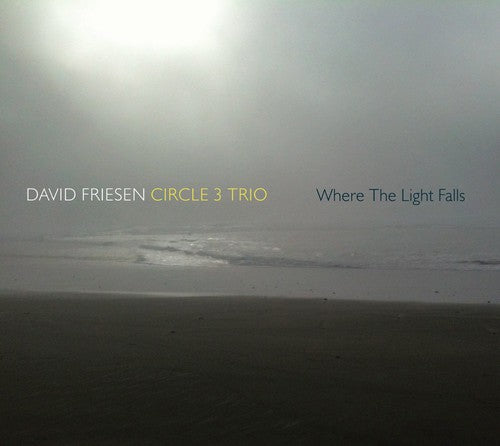 Friesen,david / Circle 3 Trio - Friesen David / Circle 3 Trio - Music CD