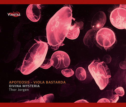 Divina Mysteria / Jorgen / Amilcar / Gomez - Apoteosis: Viola Bastarda In 16th Century - Music CD