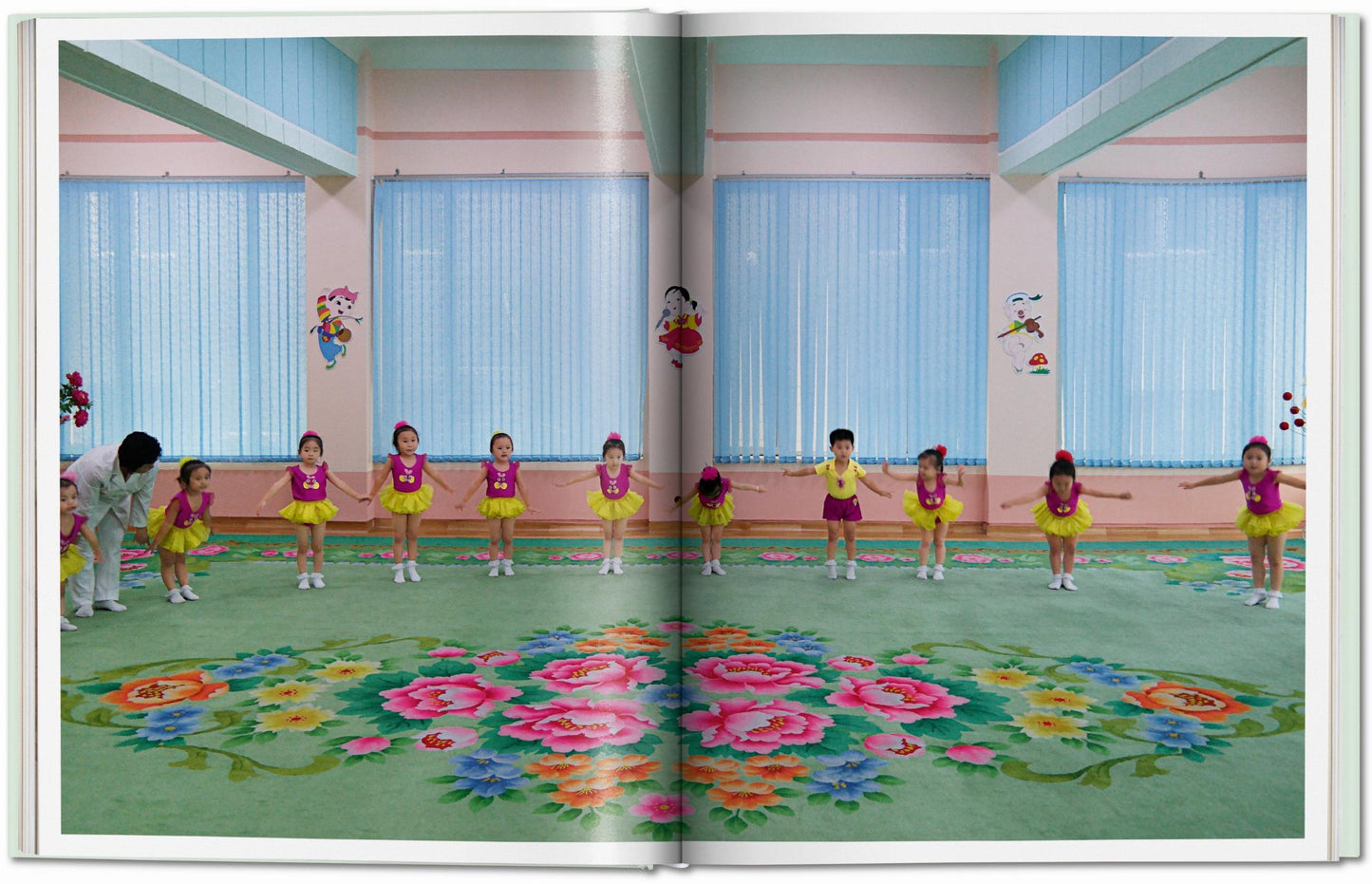 Inside North Korea (German, French, English) Book