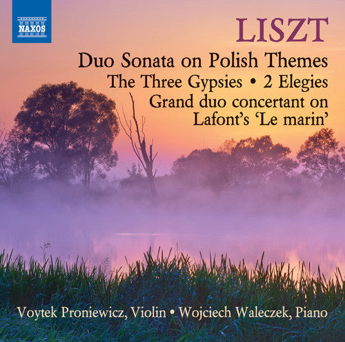 Liszt / Proniewicz / Waleczek - Music For Violin & Piano - Music CD