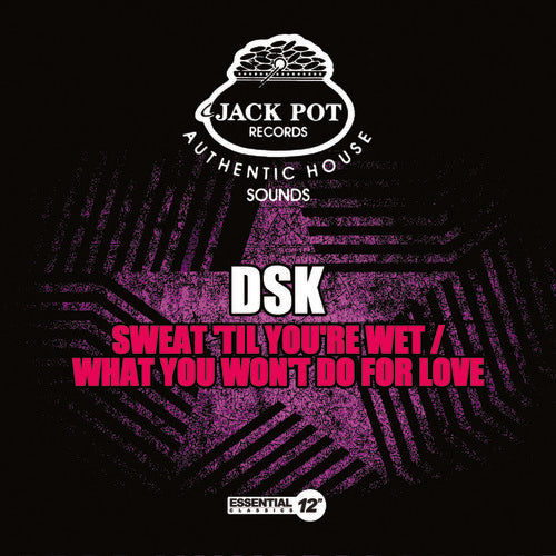 Dsk - Sweat 'til You're Wet / What You Won't Do For Love - Music CD