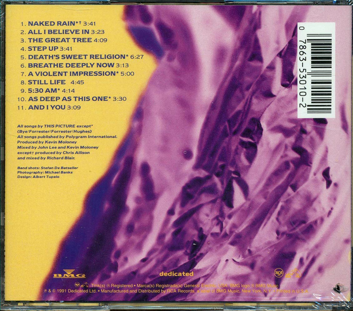 This Picture A Violent Impression Music CD