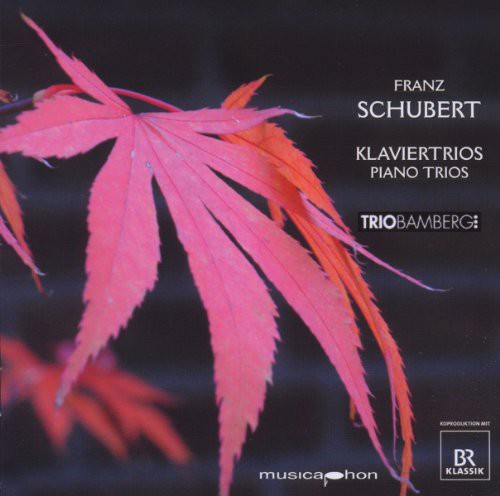 the album cover for Bamberg Trio - Piano Trios