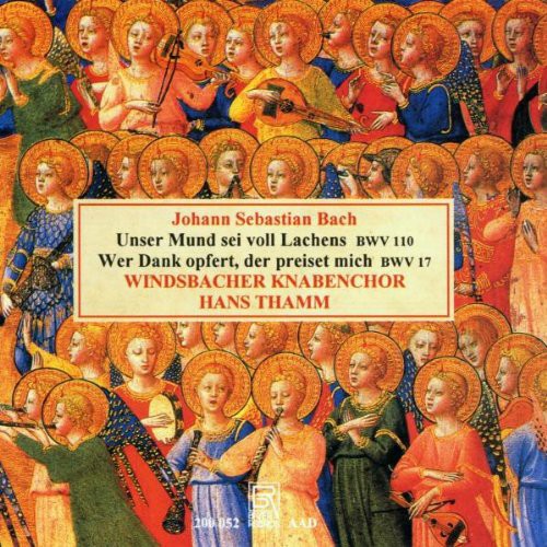 Bach,j.s. / Windsbacher Knabenchor - Cantatas Bwv 110 / Bwv 17 - Music CD