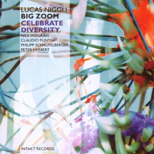 the album cover for Niggli - Celebrate Diversity Zoom