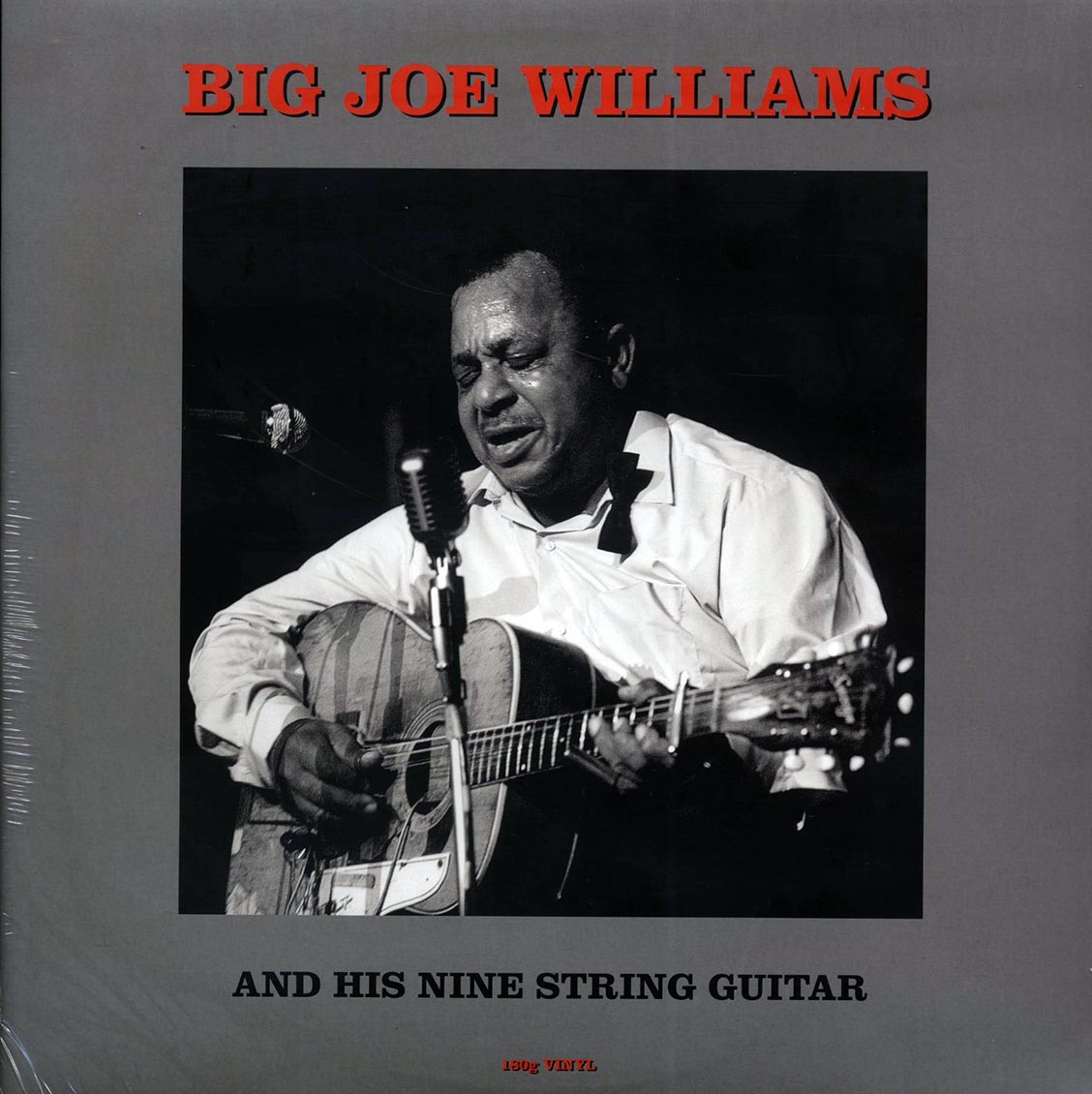 Big Joe Williams - Big Joe Williams And His Nine String Guitar (180g) Vinyl Record