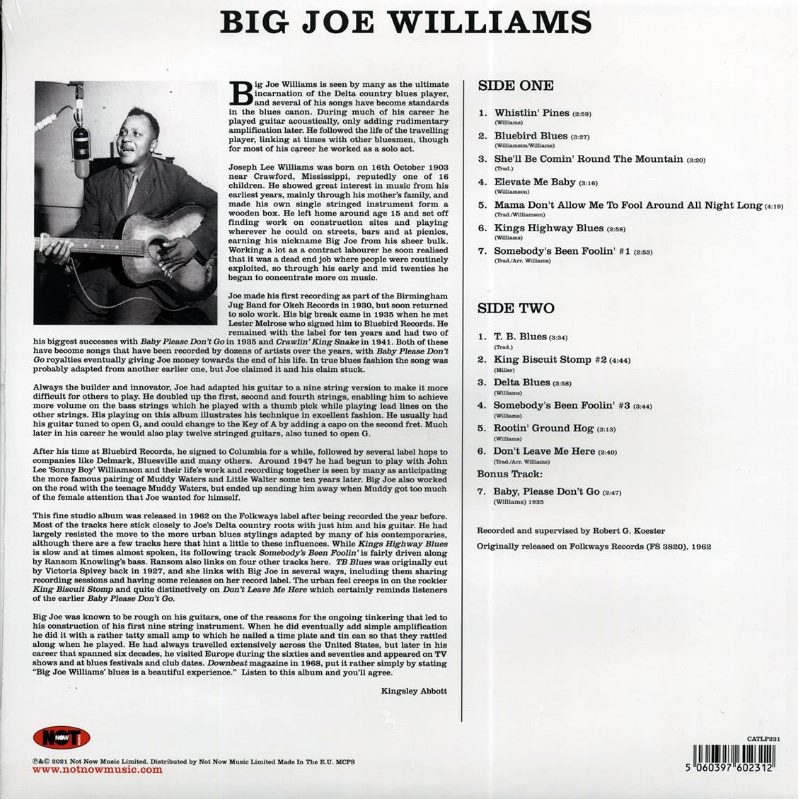Big Joe Williams - Big Joe Williams And His Nine String Guitar (180g) Vinyl Record