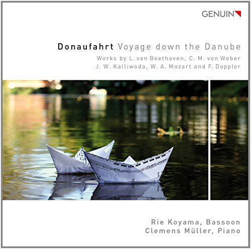 the album cover for Beethoven / Weber / Kalliwoda / Mozart / Doppler - Voyage Down the Danube