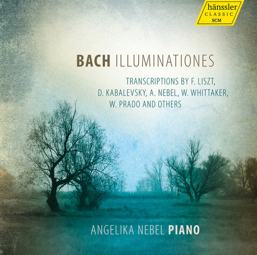 the album cover for Liszt / Nebel / Prado / Kuhlstrom / Nebel - Illuminationes