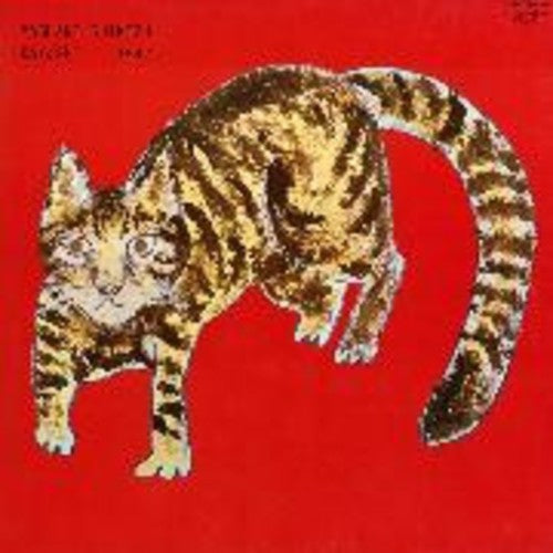 the album cover for Yasuaki Shimizu - Kakashi