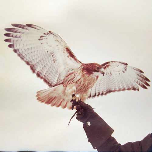 Wild Birds [LP] Vinyl Record