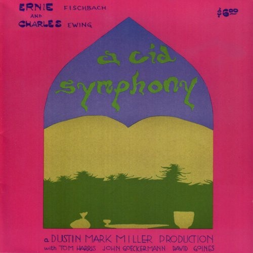 the album cover for Acid Symphony - A Cid Symphony