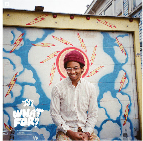 Toro y Moi - What for Vinyl Record