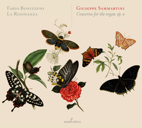 Sammartini / La Risonanza / Bonizzoni - Concertos For The Organ - Music CD