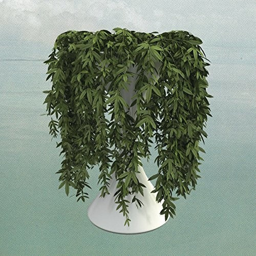 Errors - Lease Of Life - Music CD