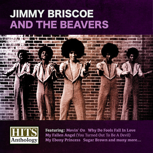 Briscoe,jimmy - Hits Anthology: Jimmy Briscoe & Beavers - Music CD