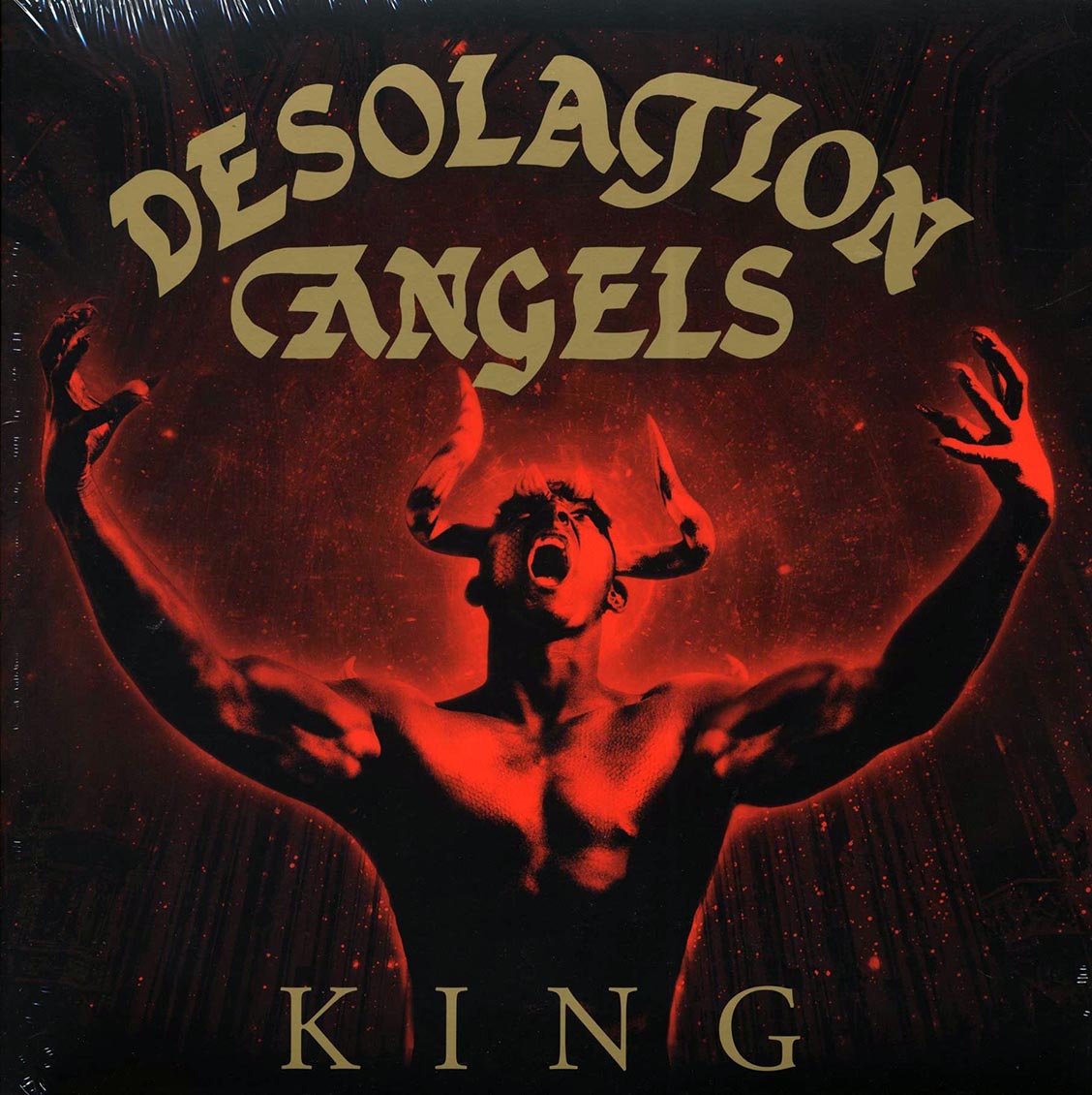 Desolation Angels - King Vinyl Record