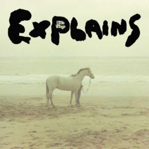 Little Wings - Explains Vinyl Record