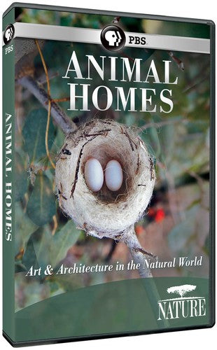 Nature: Animal Homes - Nature: Animal Homes - DVD