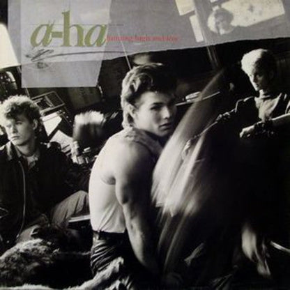 a-ha - Hunting High and Low Vinyl Record