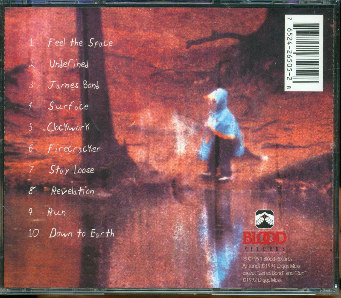 Day Of Reckoning  - I'm Not A Strong Swimmer Music CD