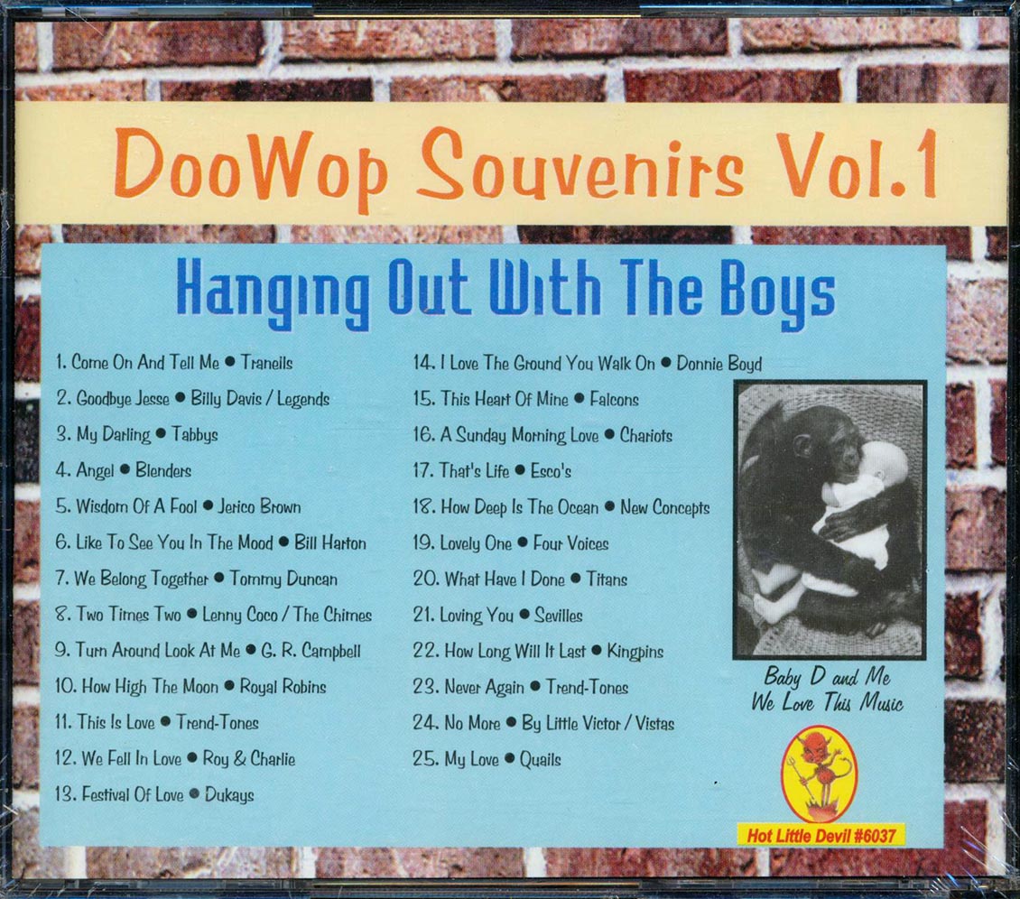 The Falcons The Blenders The Tranells Etc Doo Wop Souvenirs Volume 1 Hanging Out With The Boys 25 tracks Music CD